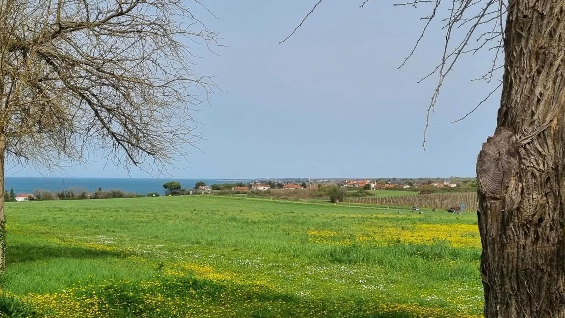 Spacious Urban Retreat Apartment With Terrace - Two Bedroom Apartment With Terrace Dajla